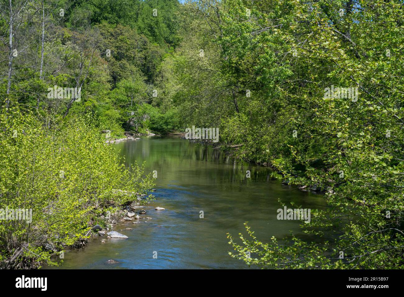 Vue sur la rivière Patapsco à Ellicott City, une ville historique du comté de Howard, Maryland, États-Unis d'Amérique. Banque D'Images