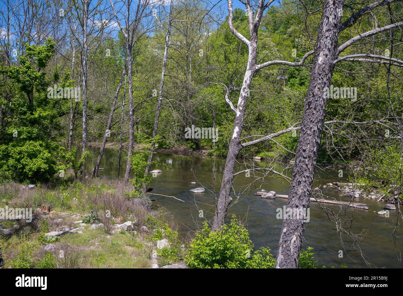 Vue sur la rivière Patapsco à Ellicott City, une ville historique du comté de Howard, Maryland, États-Unis d'Amérique. Banque D'Images
