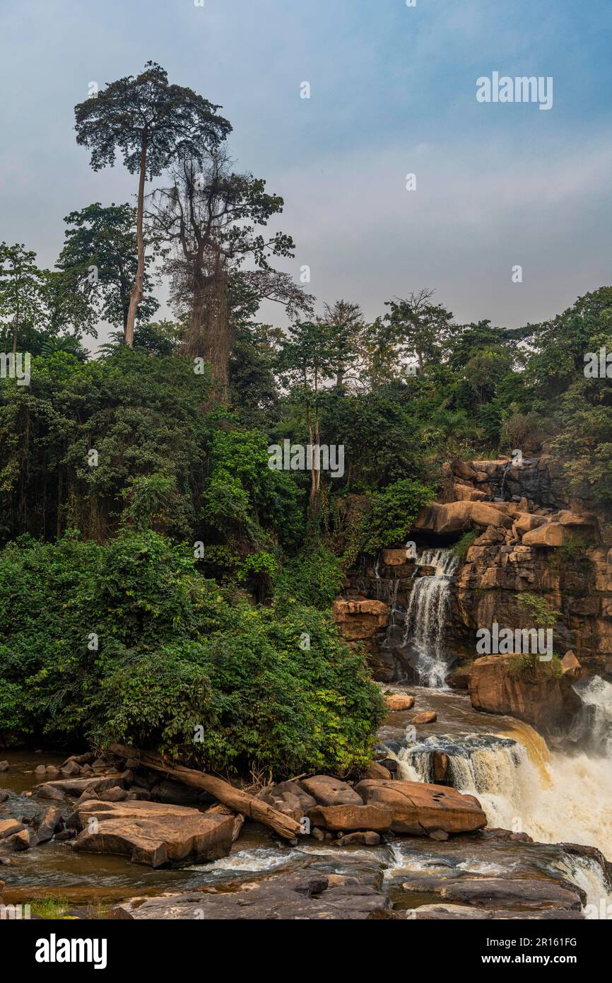 Cascades de Zongo sur la rivière Inkisi, RD Congo Banque D'Images