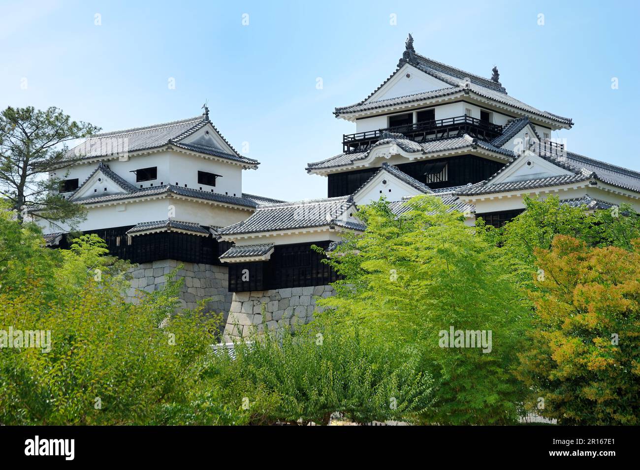 Matsuyama Castle Banque D'Images