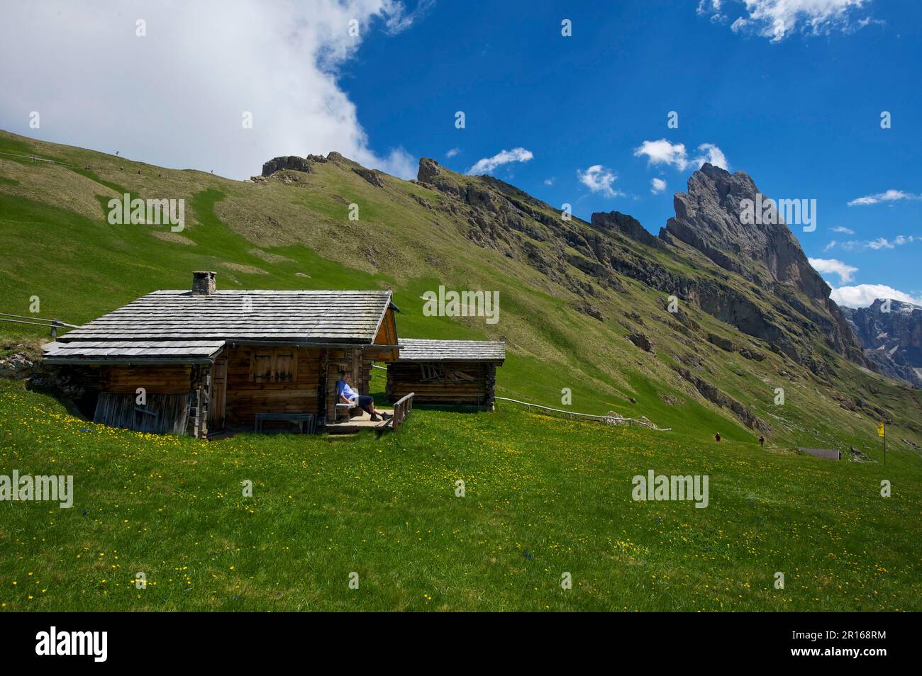 Alpage alpine sur la Seceda avec Geislerspitzen, Val Gardena, Dolomites, Trentin Tyrol du Sud, Italie Banque D'Images