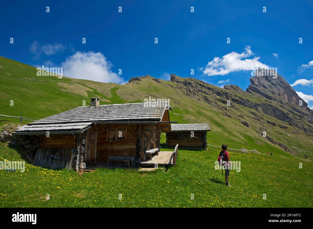 Alpage alpine sur la Seceda avec Geislerspitzen, Val Gardena, Dolomites, Trentin Tyrol du Sud, Italie Banque D'Images