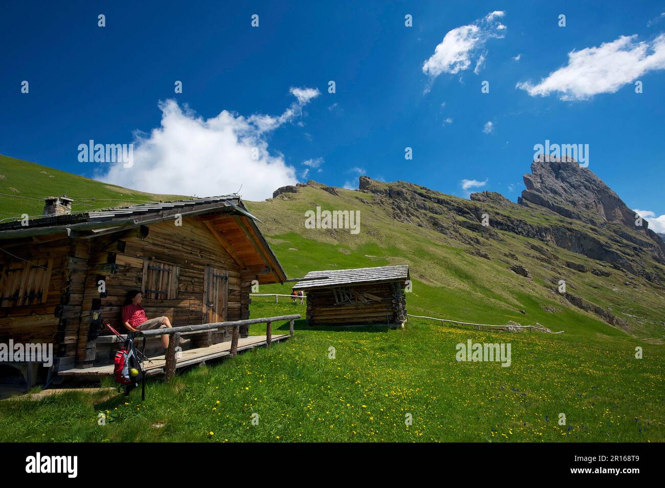 Alpage alpine sur la Seceda avec Geislerspitzen, Val Gardena, Dolomites, Trentin Tyrol du Sud, Italie Banque D'Images