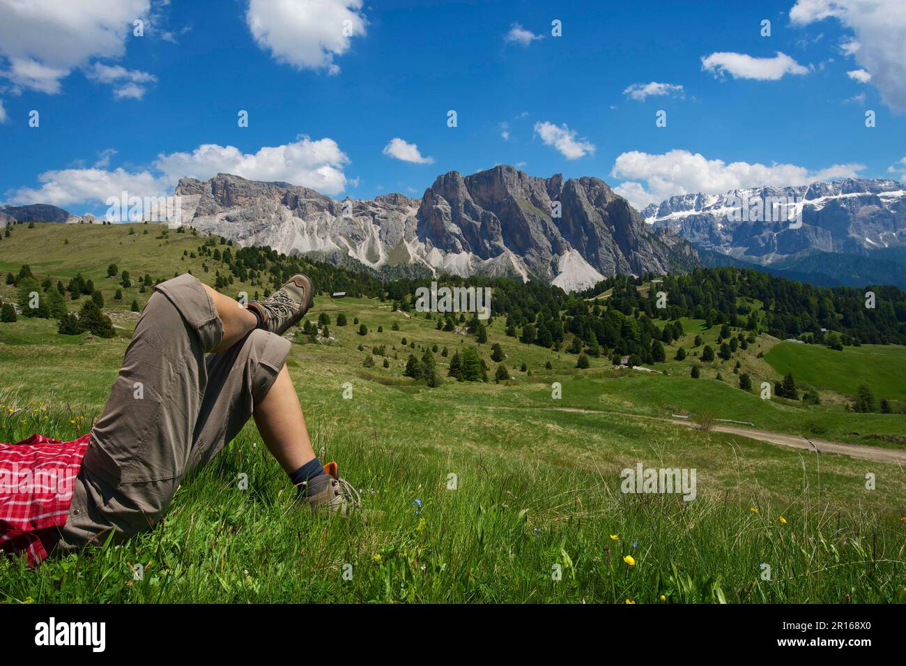 Alpage alpine sur la Seceda, Val Gardena, Dolomites, Trentin Tyrol du Sud, Italie Banque D'Images
