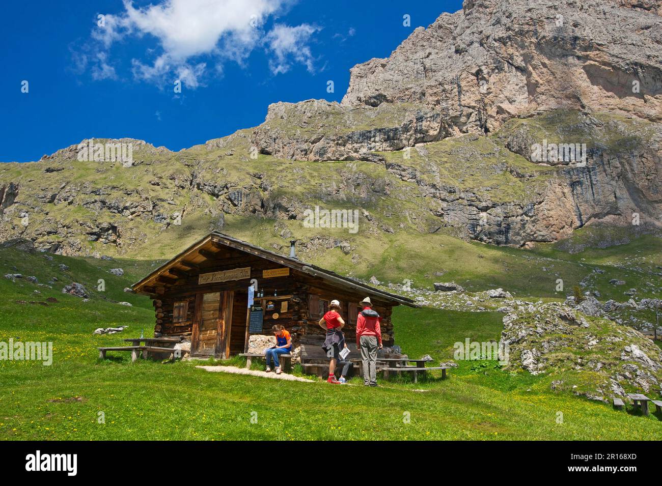 Malga-Alm au-dessous du Geislerspitzen, Seceda, Val Gardena, Dolomites, Trentin Tyrol du Sud, Italie Banque D'Images