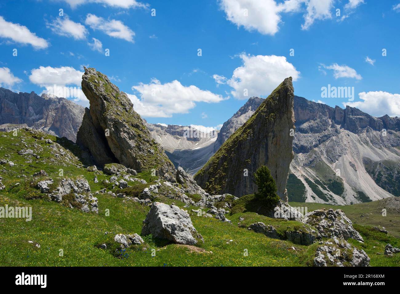 Malga-Alm au-dessous du Geislerspitzen, Seceda, Val Gardena, Dolomites, Trentin Tyrol du Sud, Italie Banque D'Images
