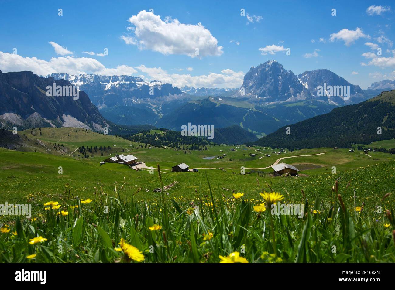 Seceda avec vue de Zella Group, Plattkopfes et Langkofel, Val Gardena, Dolomites, Trentin Tyrol du Sud, Italie Banque D'Images
