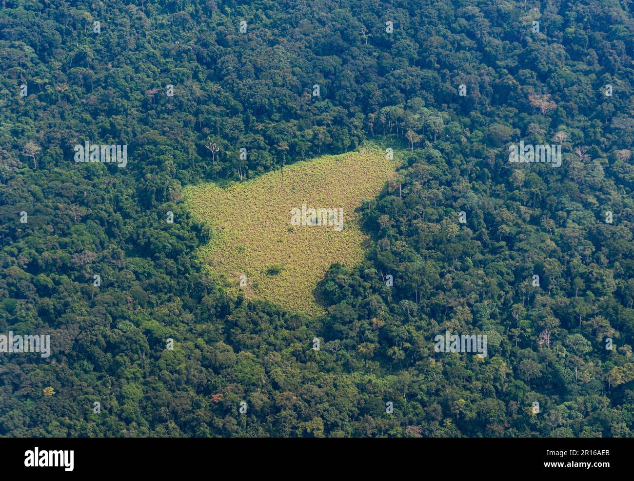 Aérienne de la jungle autour de Kisangani, Congo Banque D'Images