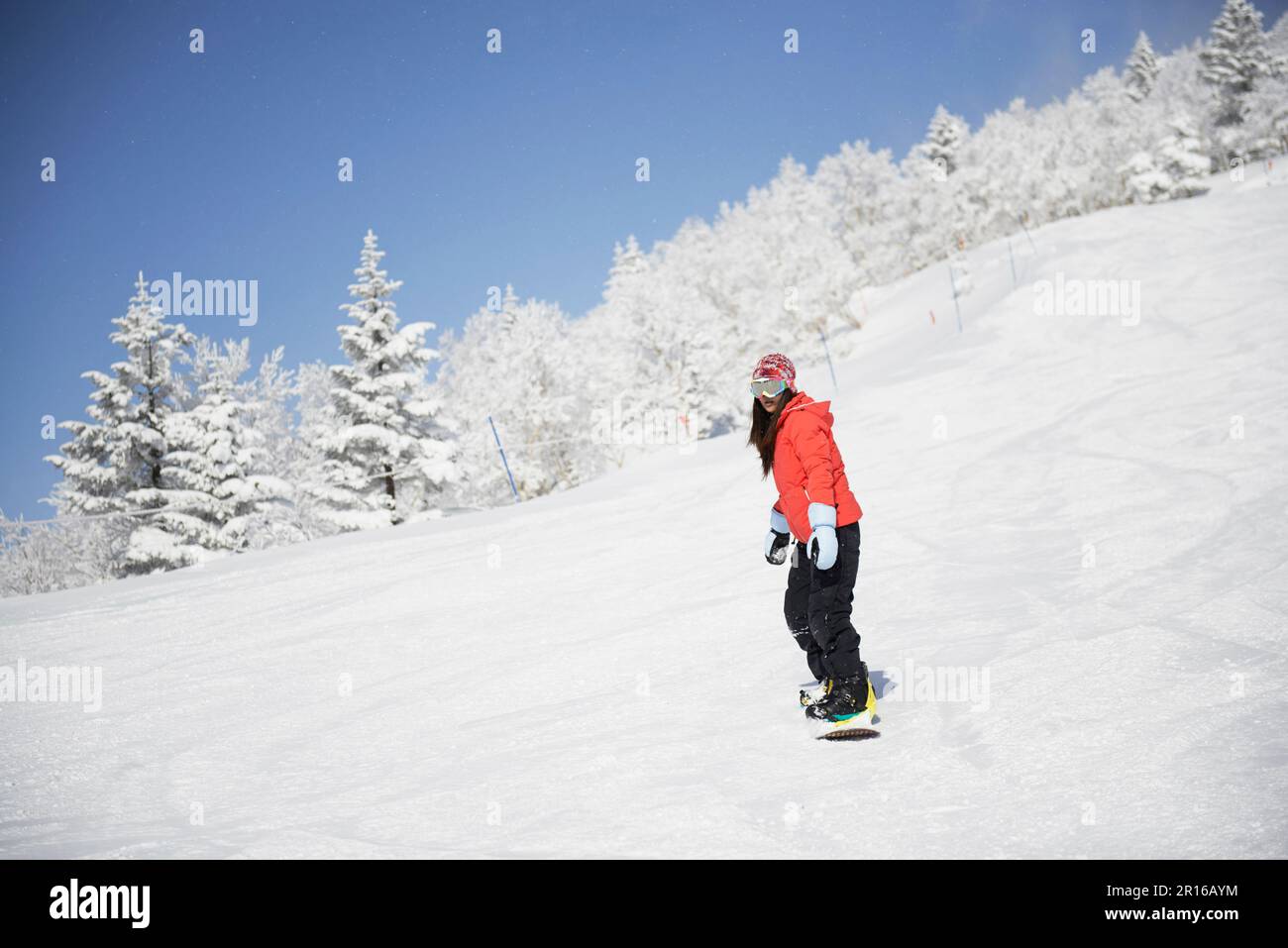 Femme snowboard dans une montagne argentée enneigée Banque D'Images