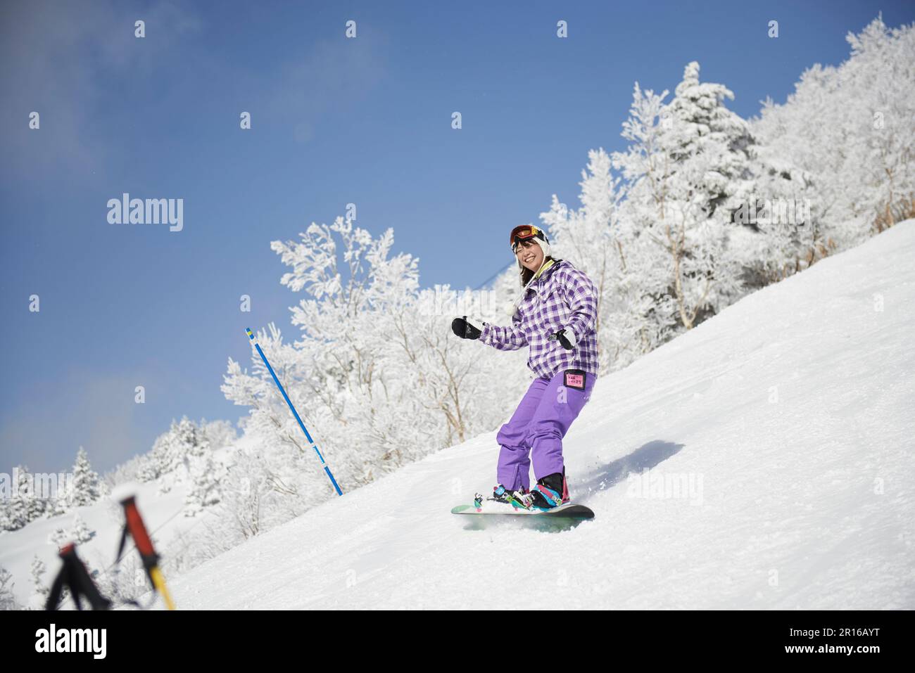 Femme snowboard dans une montagne argentée enneigée Banque D'Images