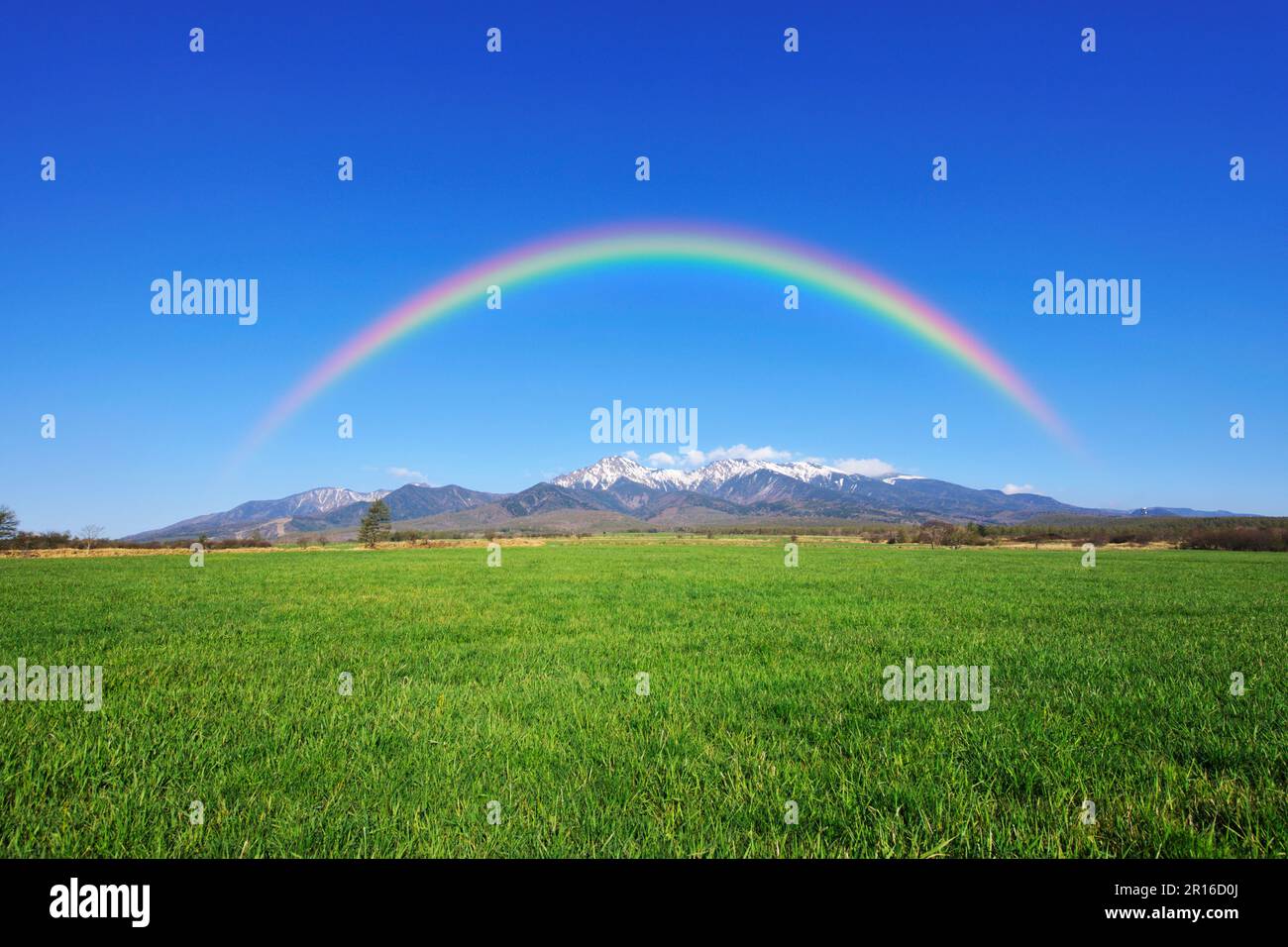 Pâturage et Yatsugatake avec le reste de la neige Banque D'Images