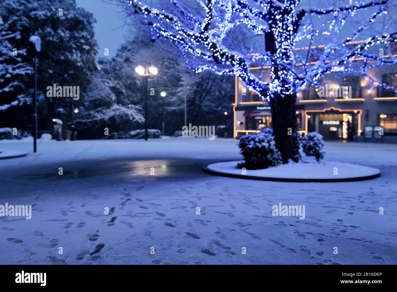 Illumination et parc Ueno dans un paysage de soirée enneigé Banque D'Images
