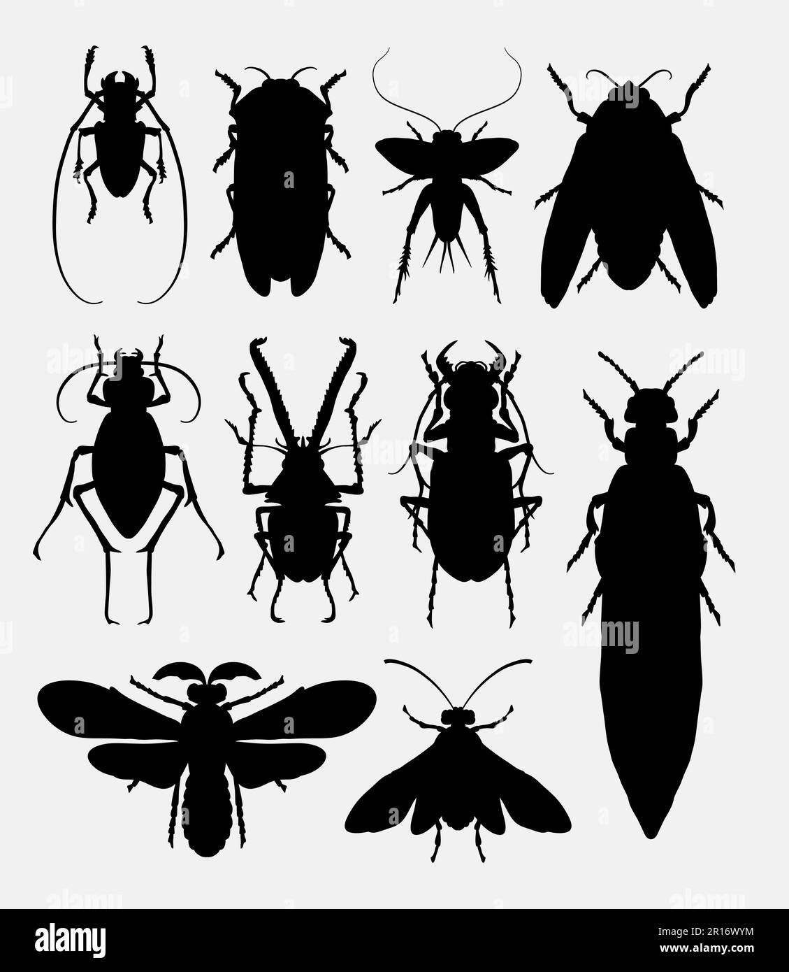 Insecte, insecte, silhouette de petit animal 1. Bon usage pour symbole, logo, icône web, éléments de jeu, mascotte, ou n'importe quel modèle que vous voulez. Facile à utiliser Illustration de Vecteur