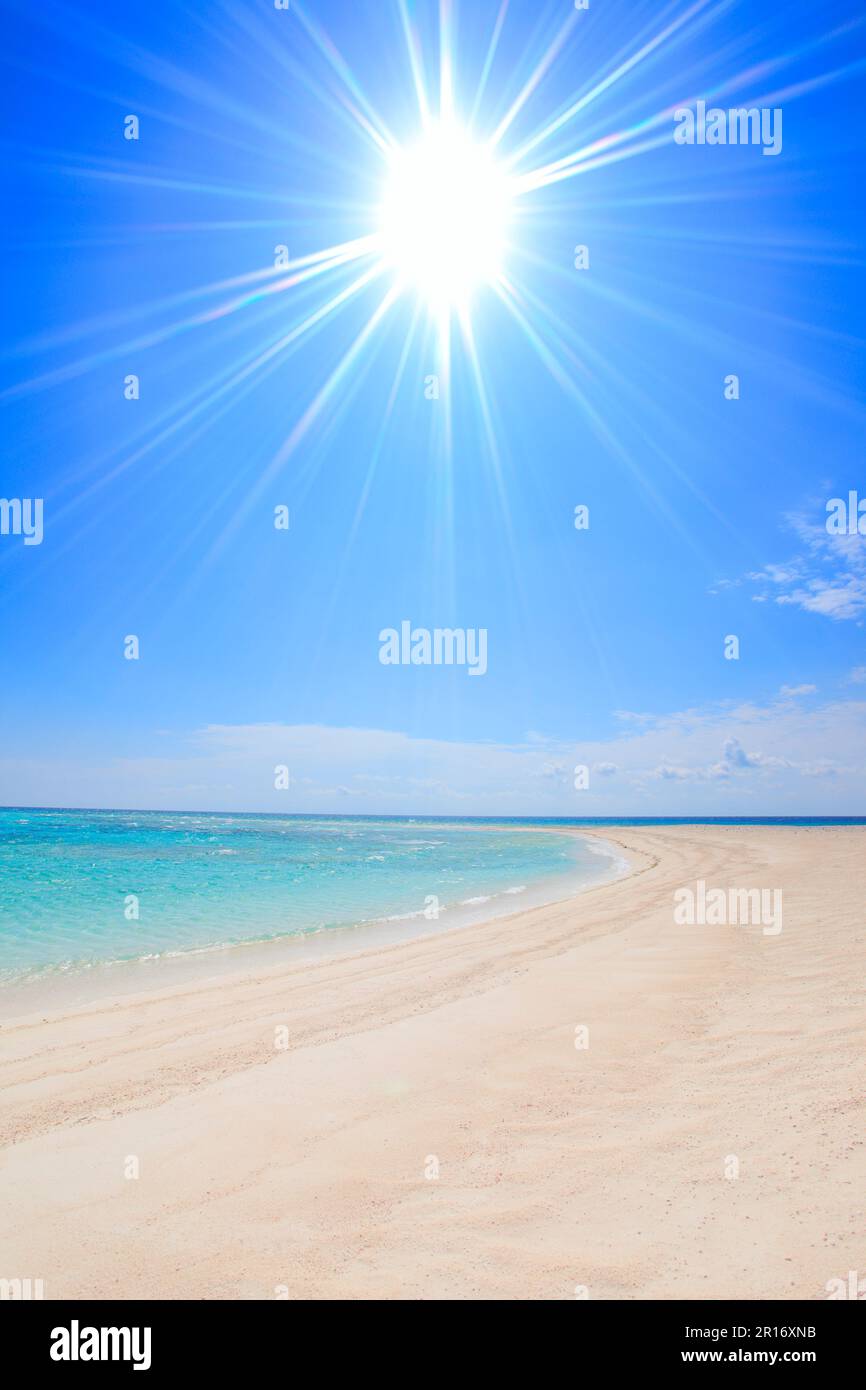 Arbre de lumière sur la plage de Hatenohama Banque D'Images