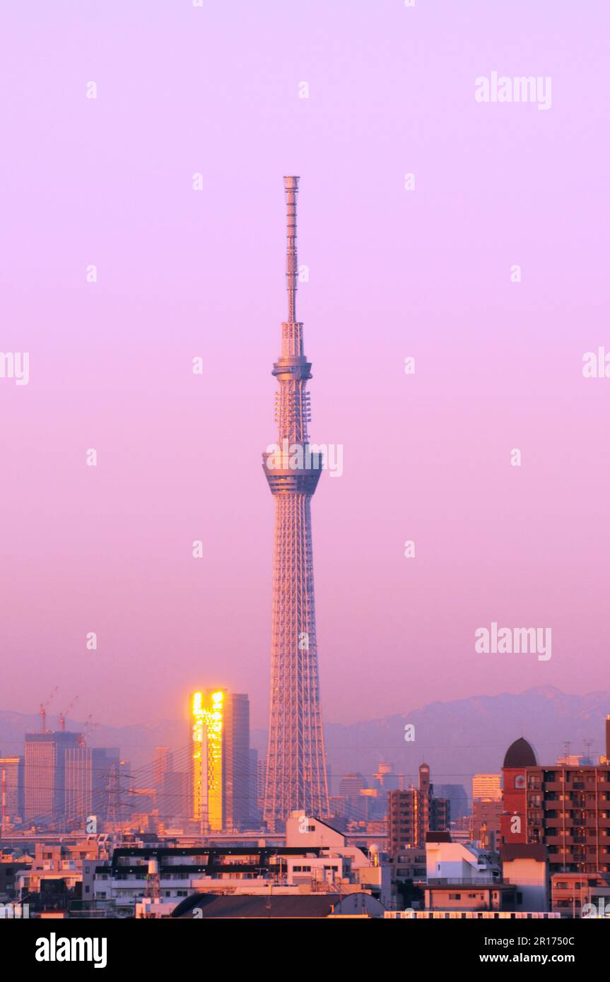 Tokyo Sky Tree en début de matinée Banque D'Images