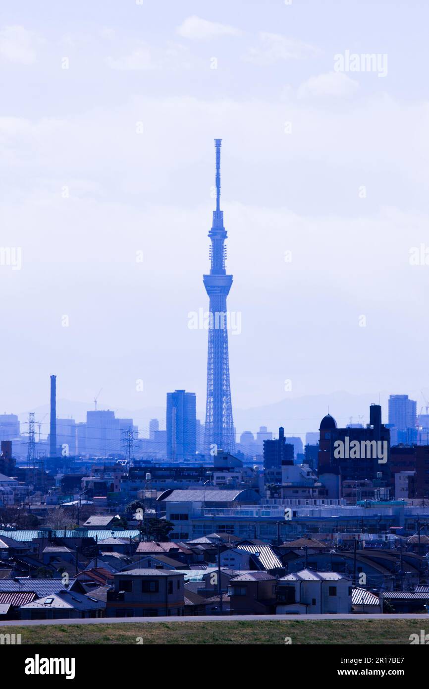 Sky Tree et toits de Tokyo Banque D'Images