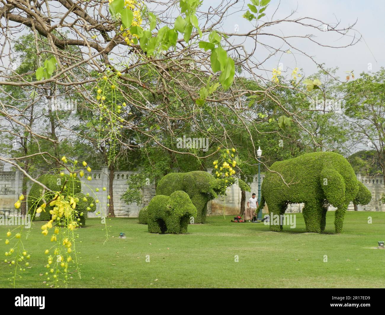 Thaïlande, Ayuthaya (anciennement la capitale royale 1350-1767): Éléphant 'topiaire' dans les jardins du Palais de Bang Pa-in. Banque D'Images