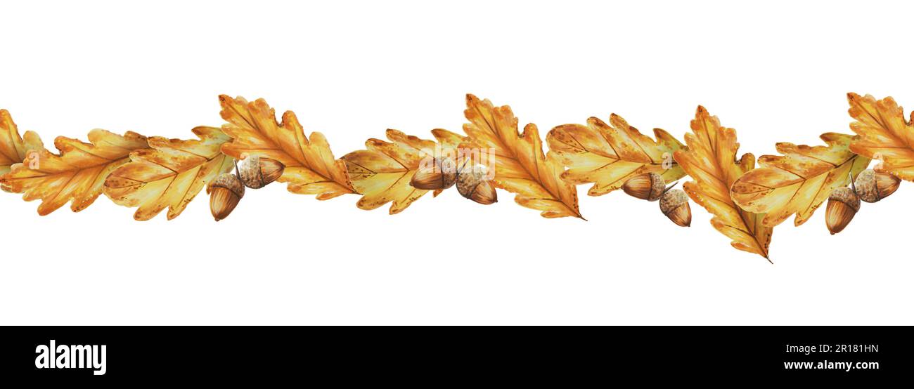 Bordure sans couture aquarelle avec des feuilles de chêne d'automne et des glands isolés. Thanksgiving, Halloween illustration pour les designers, scrapbooking. Pour les concepteurs Banque D'Images