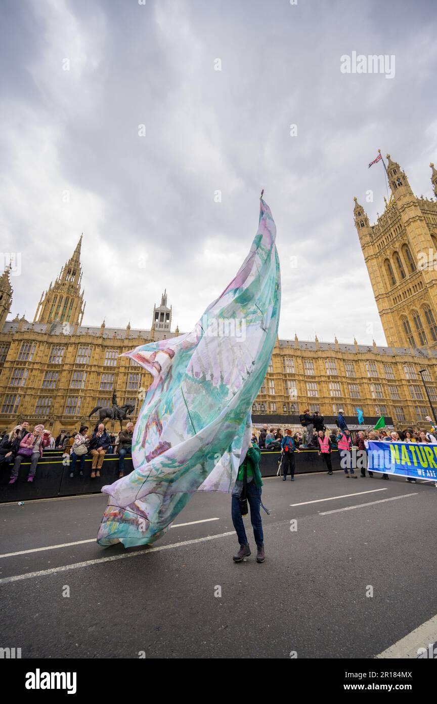 LONDRES - 22 avril 2023: Témoin de l'impact alors qu'un manifestant XR fait passer un énorme drapeau devant le Parlement lors du Londres XR mars, symbo Banque D'Images