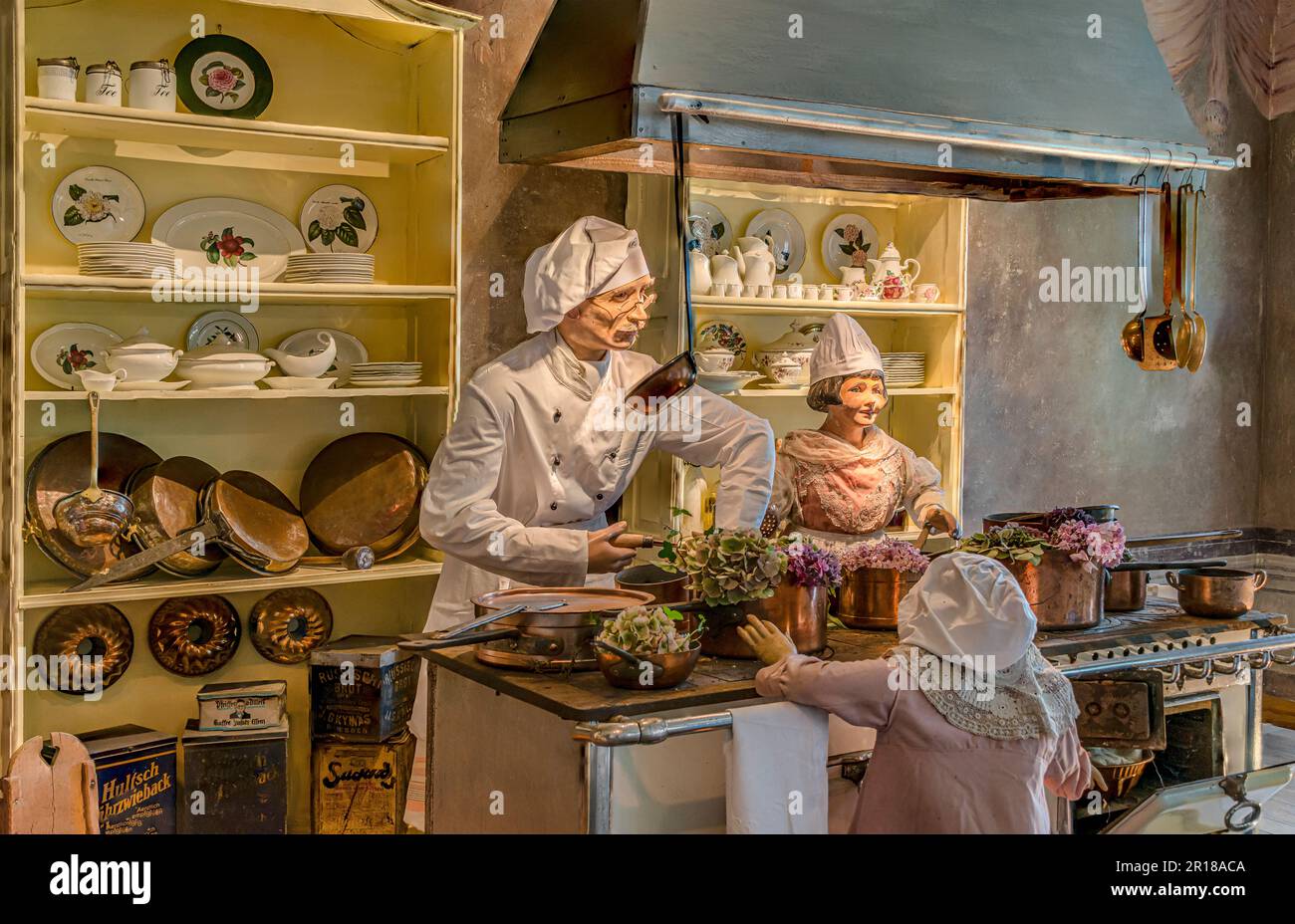 Exposition montrant l'utilisation historique traditionnelle de l'huile de camélia pour la cuisine au château de Zuschendorf, Saxe, Allemagne Banque D'Images