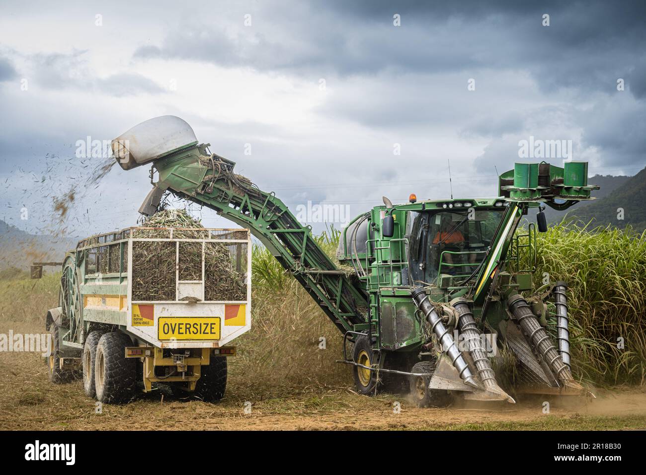 Les travailleurs agricoles de canne à sucre dans une récolteuse de canne et une poubelle à canne suivante lorsqu'ils se déplacent vers le haut et le bas du champ récoltant de la canne mûre à Cairns, Queensland, en Australie Banque D'Images