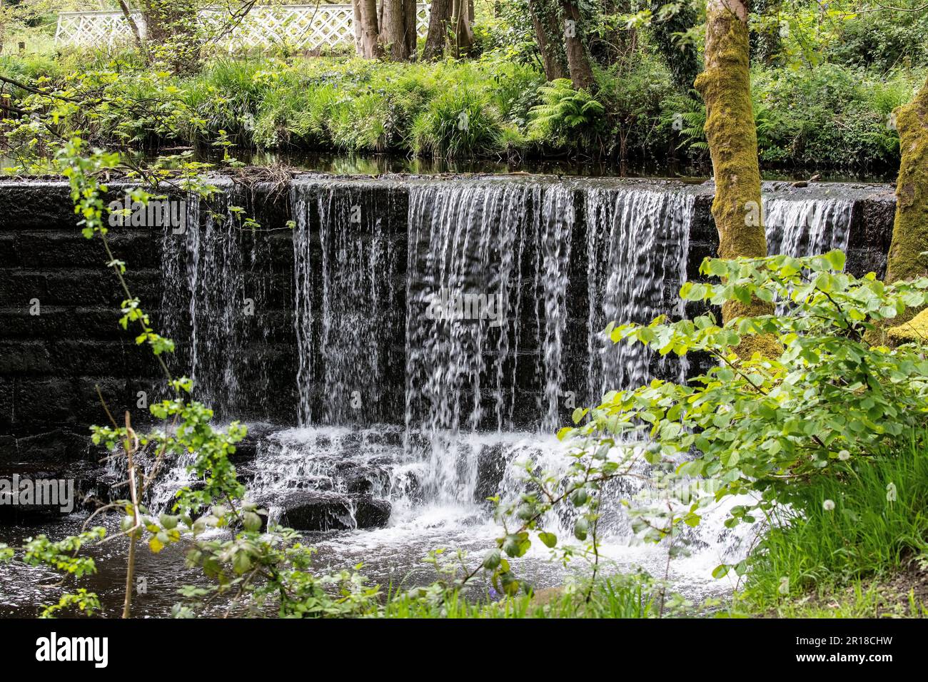Une petite cascade sur la rivière Holme dans le West Yorkshire à Magdale offre une scène pittoresque au printemps, tandis que le nouveau feuillage entoure l'eau Banque D'Images