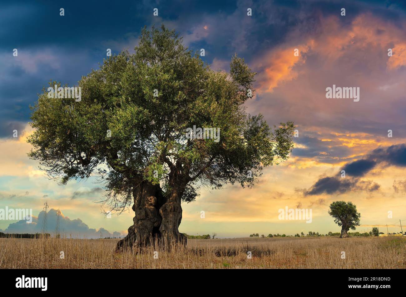 Paysage de campagne en italie Banque de photographies et d’images à ...