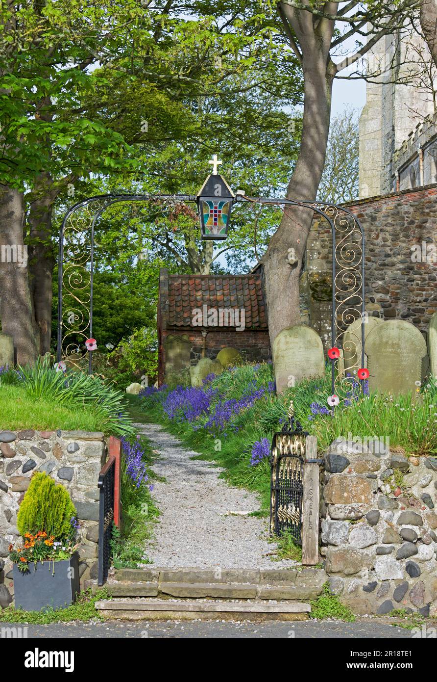 Sentier, bordé de cloches, menant à l'église All Saints, dans le village d'Easington, East Yorkshire, Angleterre Banque D'Images