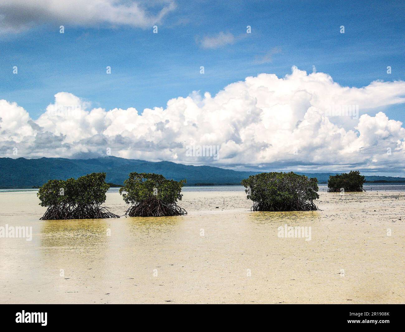 Une fraction de paradis... Banque D'Images