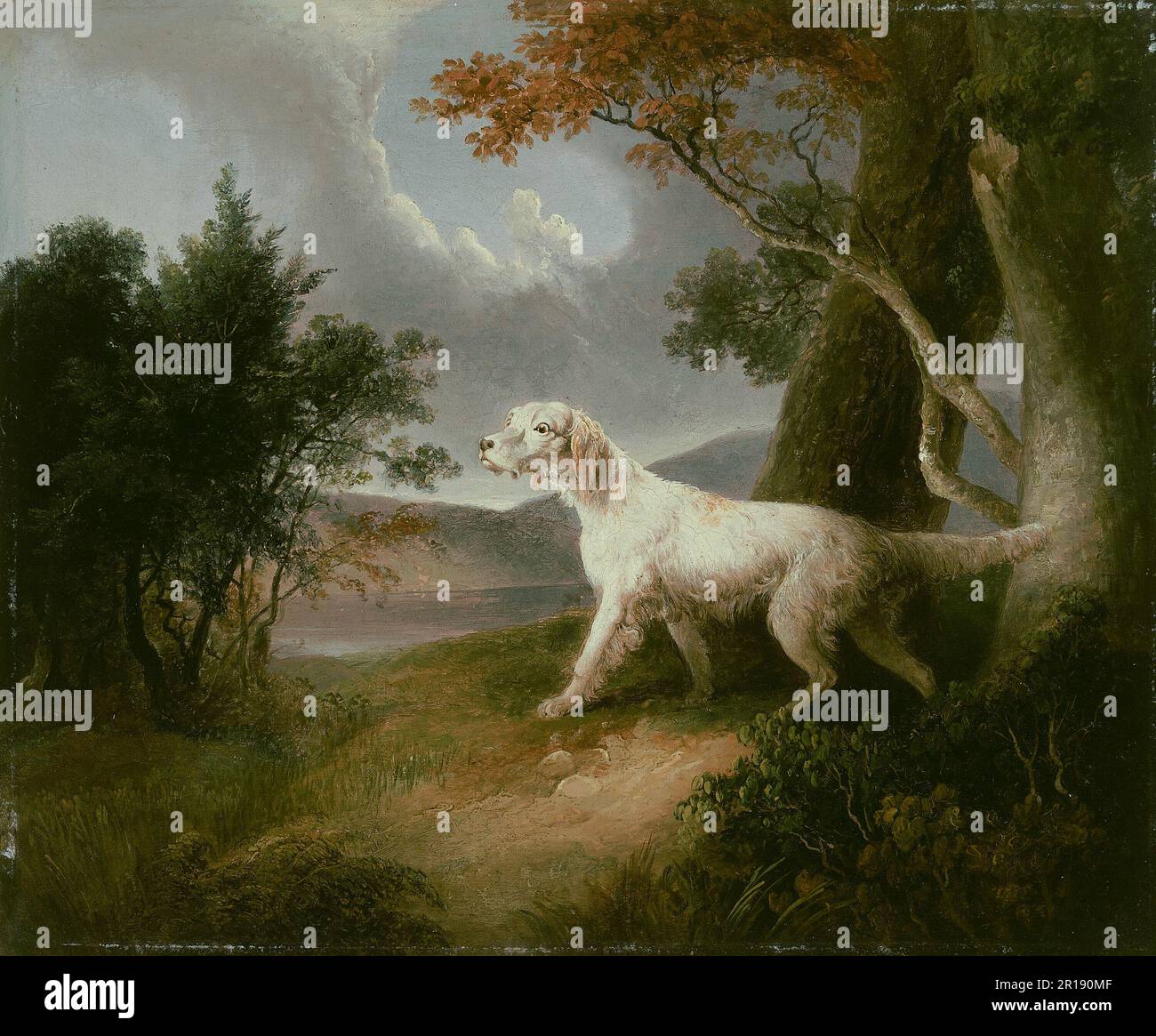 Paysage avec chien Date: 1832 artiste: Thomas Doughty American, 1793–1856 Banque D'Images