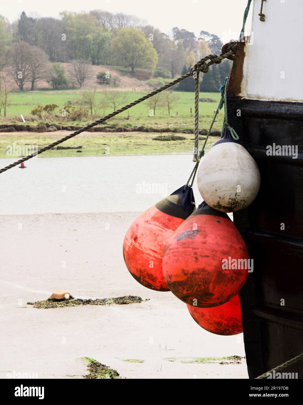 Un gros plan de l'arc d'un bateau avec trois bouées Banque D'Images