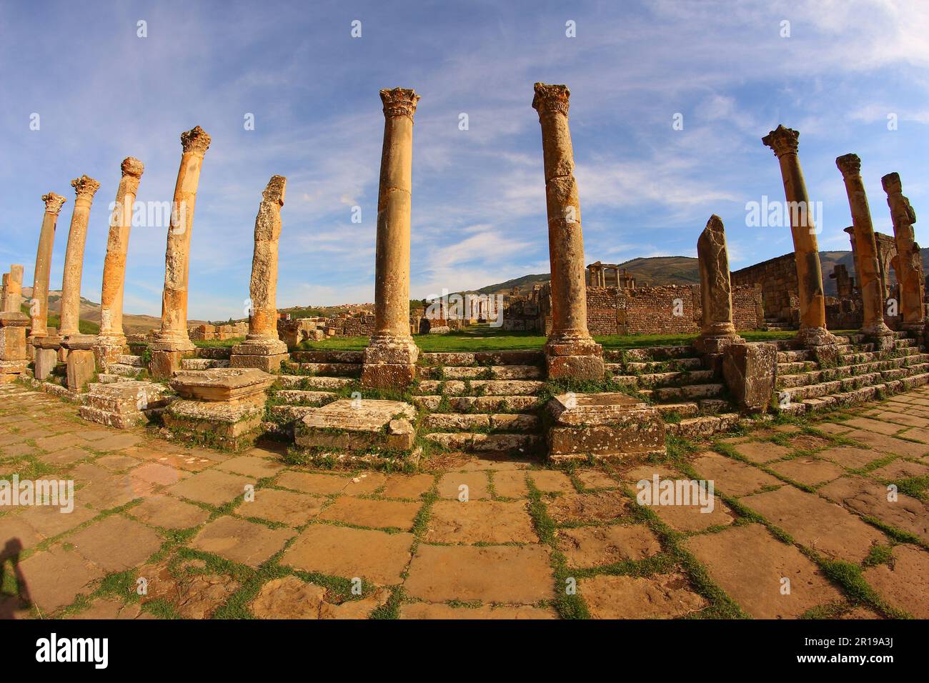 Ruines romaines de Djemila, Algérie. Colonnes. Banque D'Images