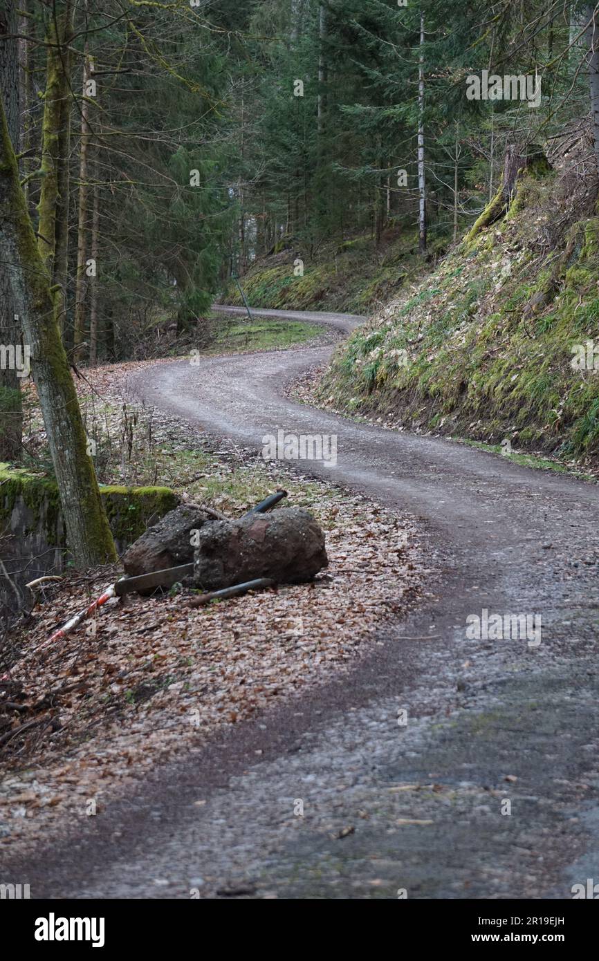 Arbres et hôtels en Forêt Noire en Allemagne Banque D'Images