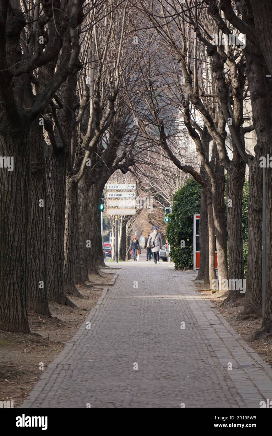 Arbres sur un trottoir Banque D'Images