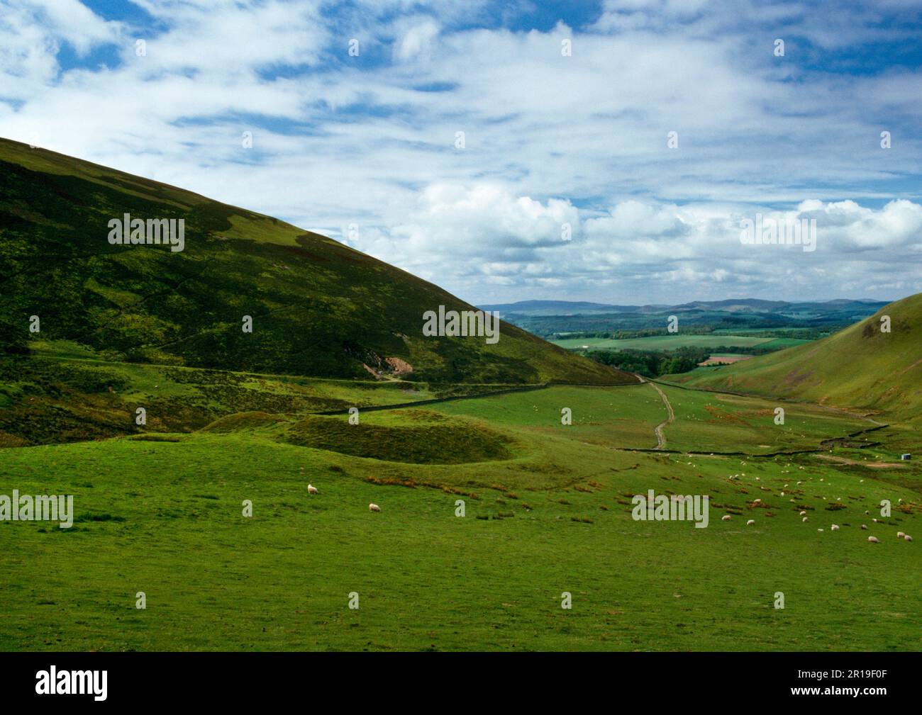 Découvrez la fortlet romaine de Durisbiche (Kirk Burn) à côté de la route romaine et médiévale de Well Path, Thornhill, Nithsdale, Dumfries & Galloway, Écosse, ROYAUME-UNI. Banque D'Images