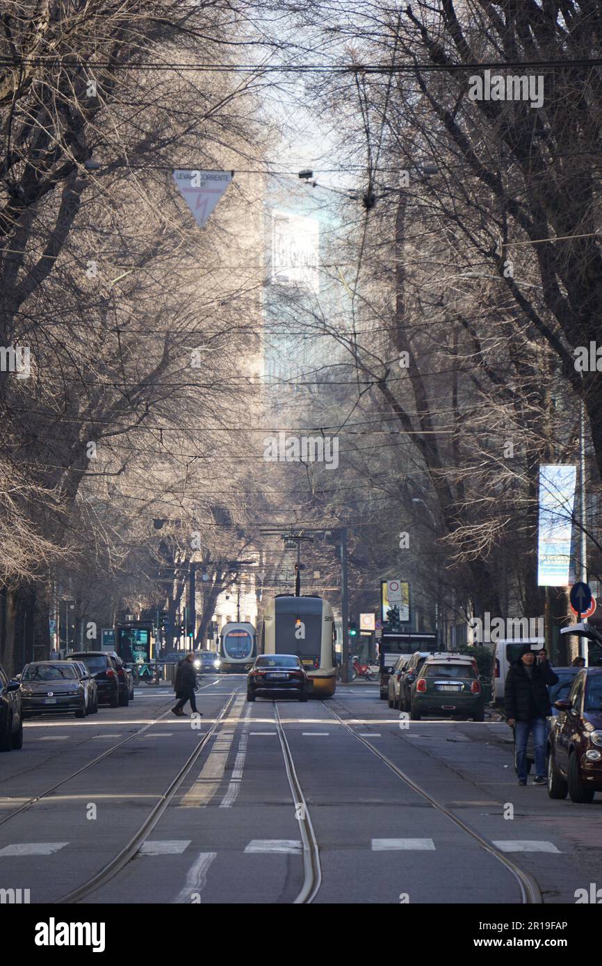 Une rue à Milan avec des arbres des deux côtés Banque D'Images