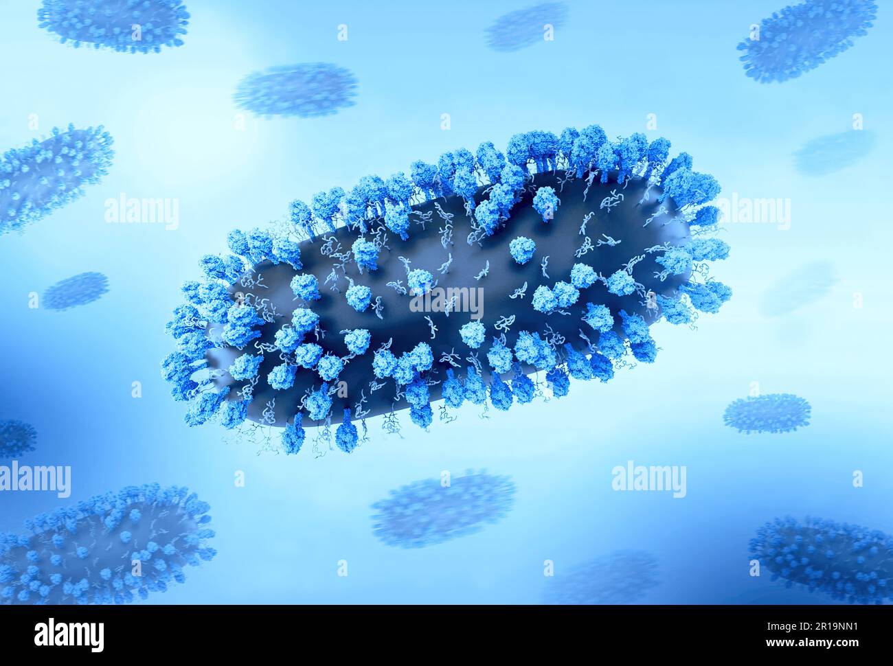 Virus respiratoire syncytial humain (VRS) mise en page créative comprenant 3D rendus du virus respiratoire syncytial (VRS), un virus contagieux commun qui infecte les voies respiratoires humaines. Crédit : NIAID Banque D'Images