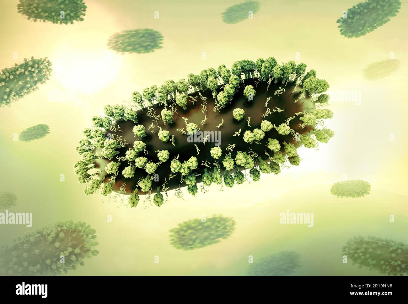 Virus respiratoire syncytial humain (VRS) mise en page créative comprenant 3D rendus du virus respiratoire syncytial (VRS), un virus contagieux commun qui infecte les voies respiratoires humaines. Crédit : NIAID Banque D'Images