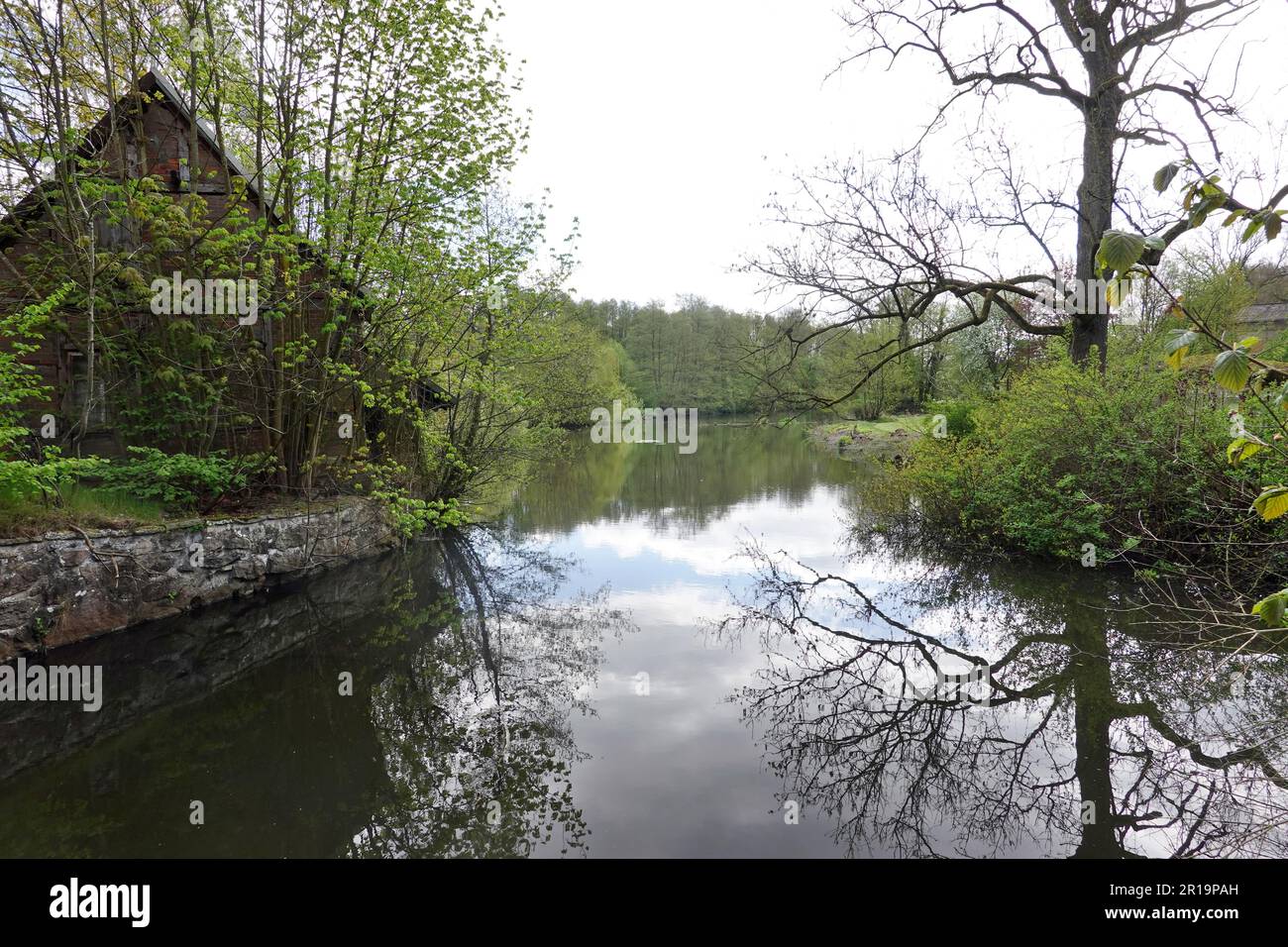 Aufgestaut,Ilmenau vor der Wassermühle Medingen, Niedersachsen, Deutschland, Bad Bevensen Banque D'Images