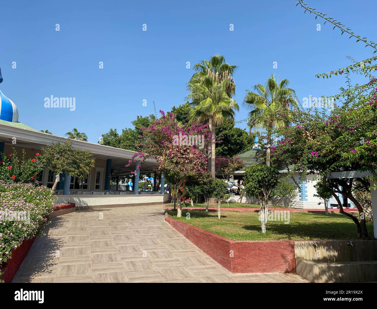 Belles plantes et palmiers, aménagement paysager dans un hôtel en vacances dans un complexe tropical chaud de pays paradisiaque du sud. Banque D'Images