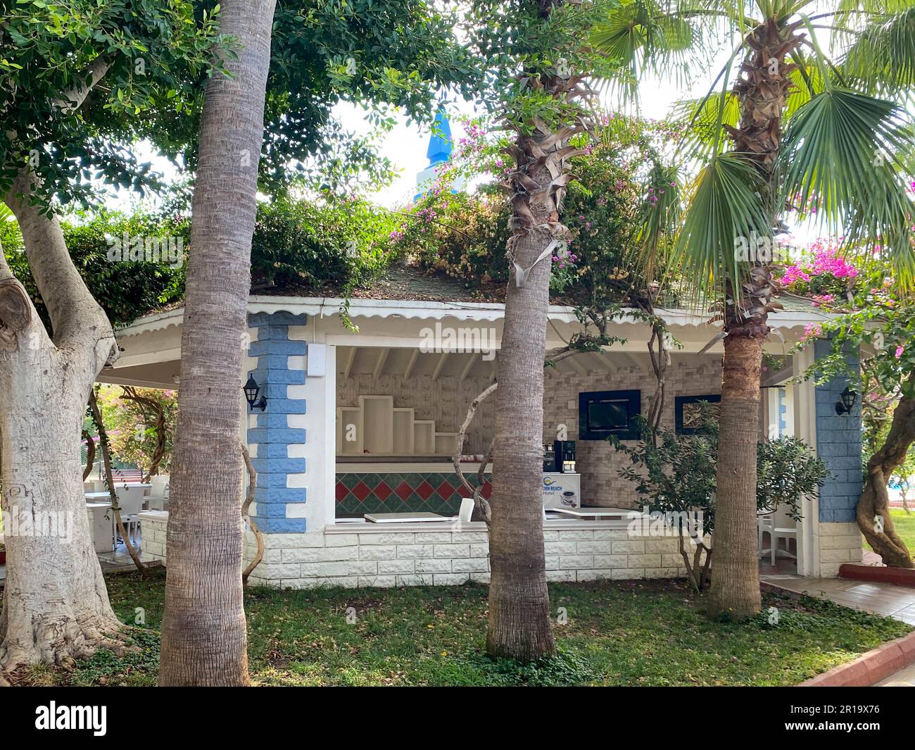 De beaux palmiers paradisiaques avec de grandes feuilles vertes sur le fond de petites maisons de bâtiments d'un hôtel bungalow dans un tropical est chaud Banque D'Images