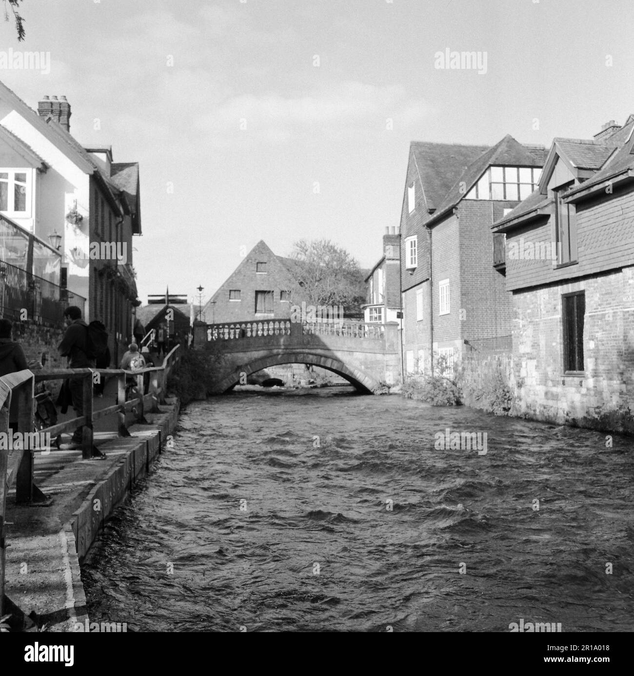 River Itchen, Winchester, Hampshire, Angleterre, Royaume-Uni. Banque D'Images