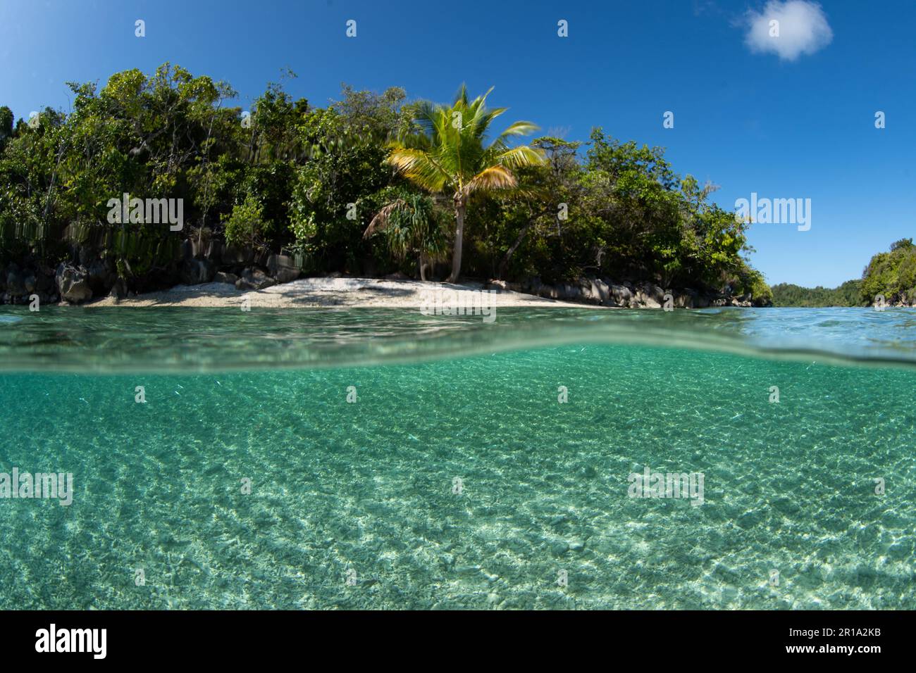 L'eau claire et chaude baigne une île tropicale isolée au large de la côte de la Papouasie occidentale, en Indonésie. Cette région spectaculaire abrite une biodiversité marine élevée. Banque D'Images