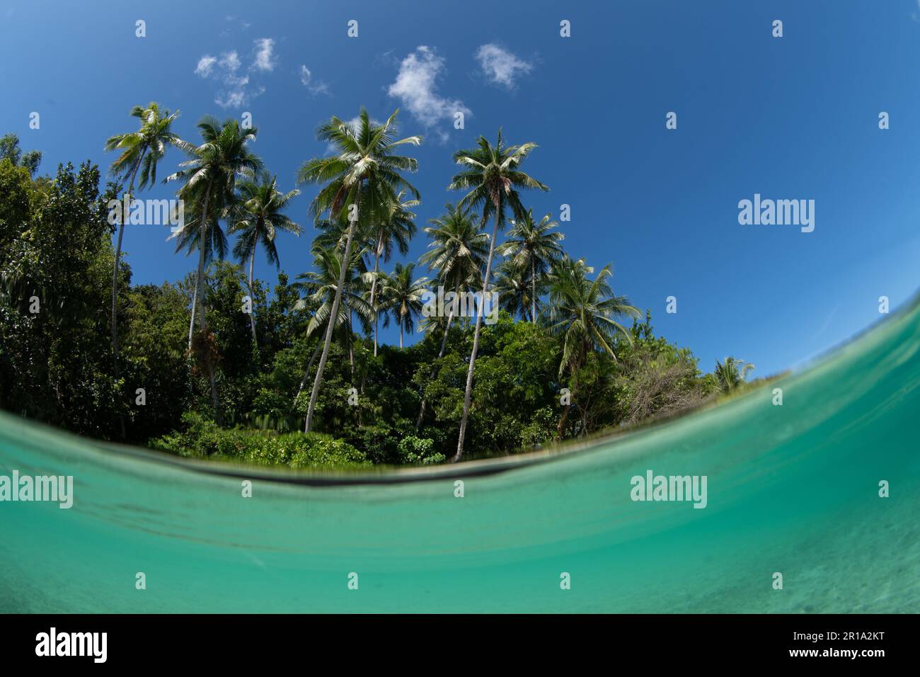 L'eau claire et chaude baigne une île tropicale isolée au large de la côte de la Papouasie occidentale, en Indonésie. Cette région spectaculaire abrite une biodiversité marine élevée. Banque D'Images