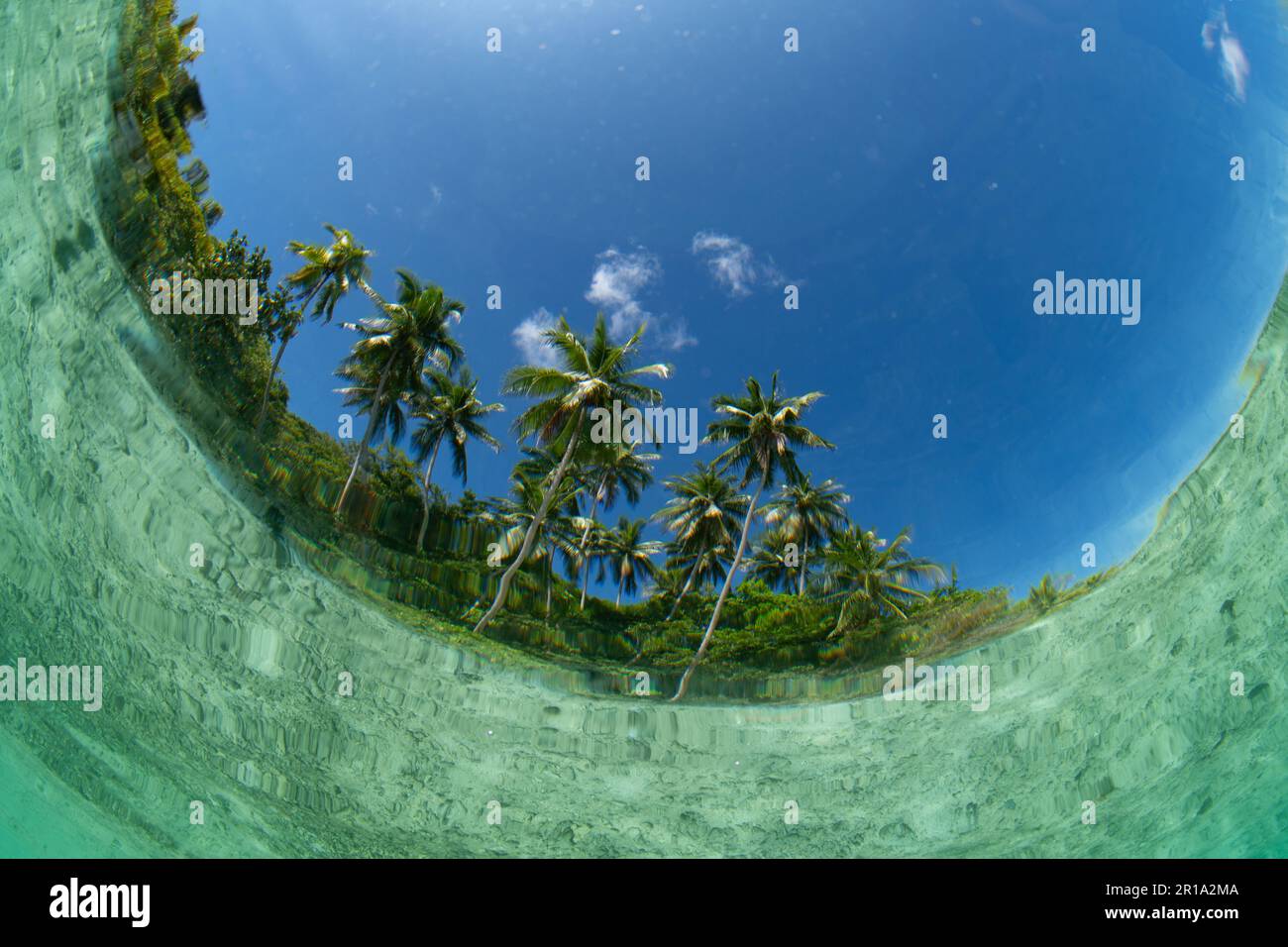L'eau claire et chaude baigne une île tropicale isolée au large de la côte de la Papouasie occidentale, en Indonésie. Cette région spectaculaire abrite une biodiversité marine élevée. Banque D'Images