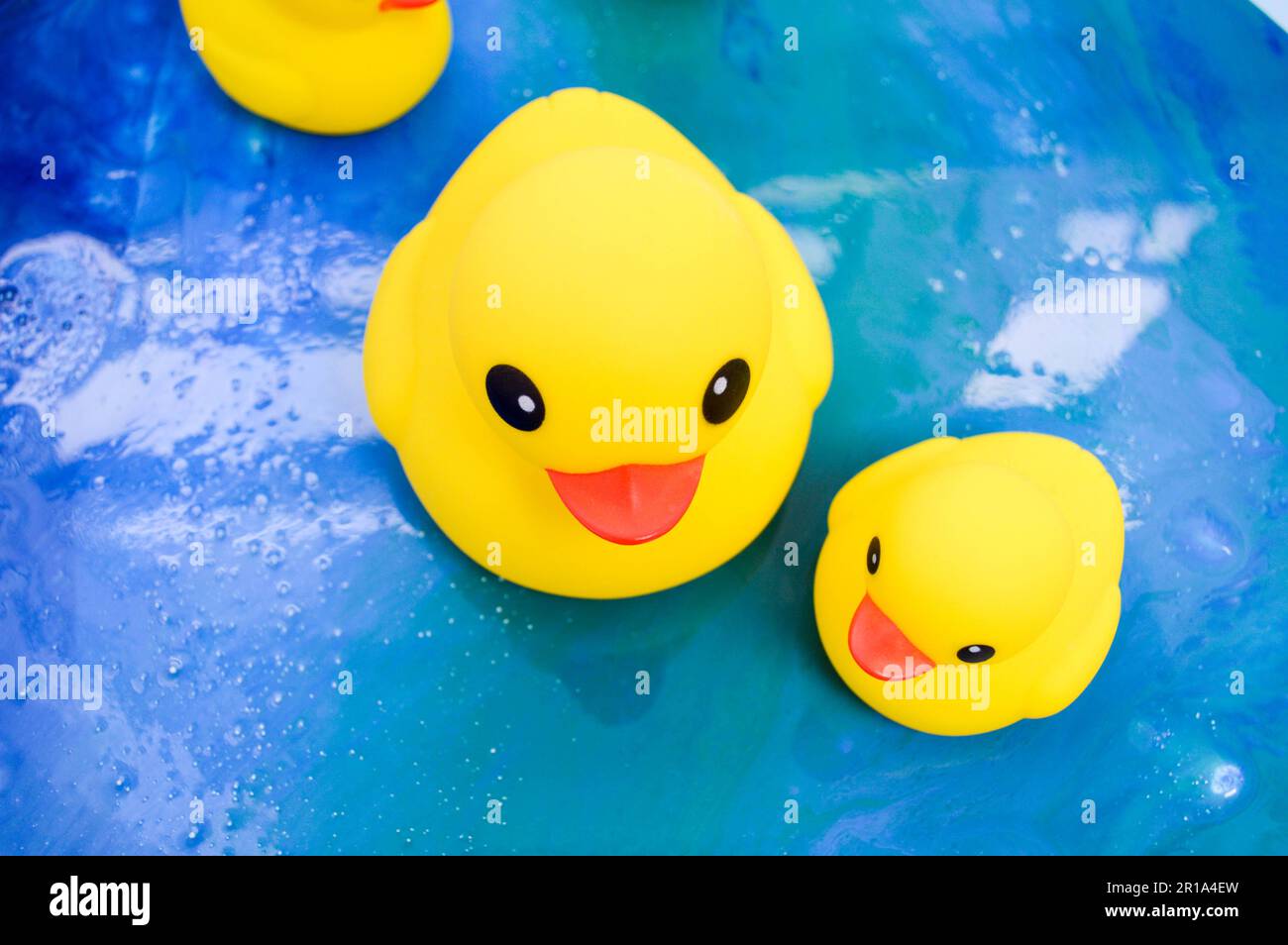 les canards jaunes lumineux nagent dans un étang d'époxy. canards jouets en  caoutchouc de qualité pour des jeux éducatifs sûrs avec des enfants. jouets  de bain pour adultes et enfants Photo Stock -