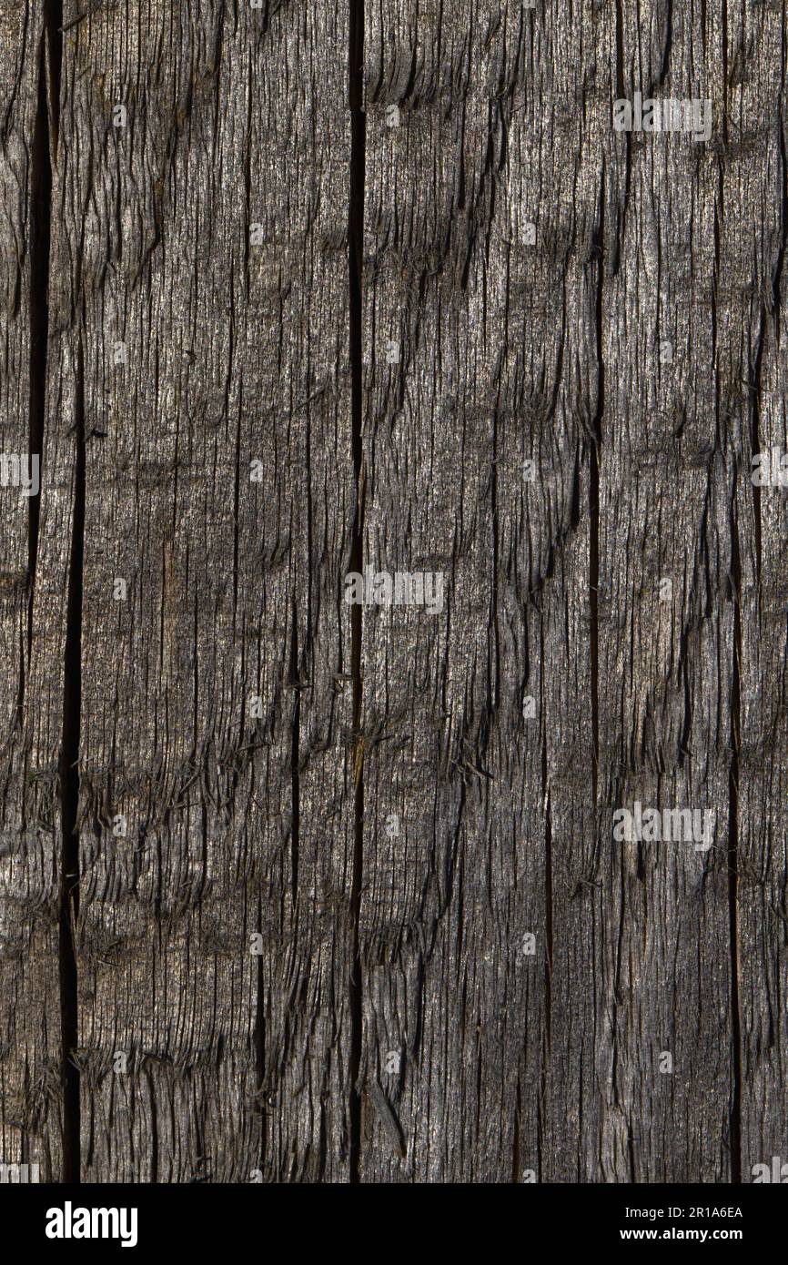 Anciennes cartes brutes disposées en rangée. Texture du bois brut. Banque D'Images