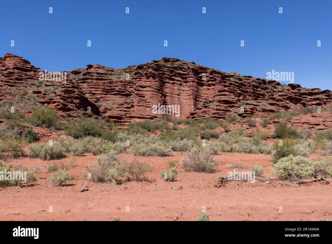 Magnifique paysage rougeâtre du parc provincial Ischigualasto dans la province de San Juan, Argentine - Voyage en Amérique du Sud Banque D'Images