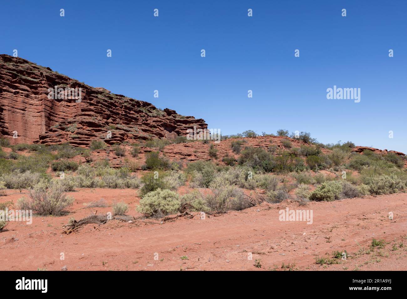 Magnifique paysage rougeâtre du parc provincial Ischigualasto dans la province de San Juan, Argentine - Voyage en Amérique du Sud Banque D'Images