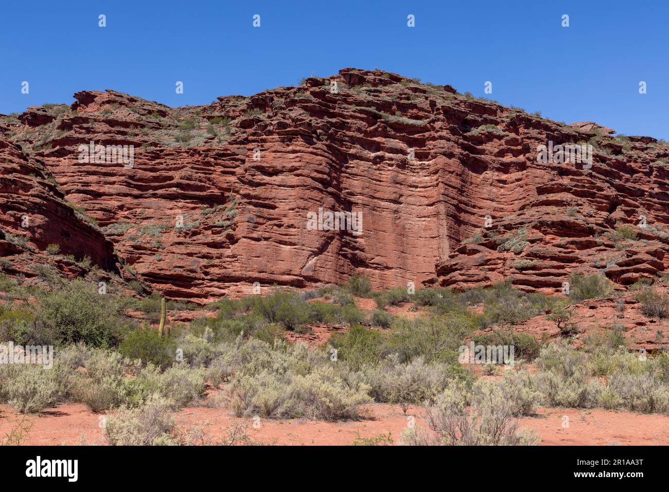 Magnifique paysage rougeâtre du parc provincial Ischigualasto dans la province de San Juan, Argentine - Voyage en Amérique du Sud Banque D'Images
